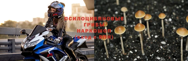 a pvp Алексин