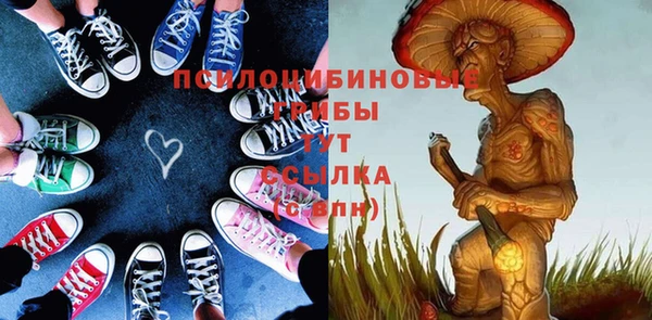 дживик Абинск