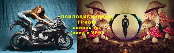 a pvp Алексин