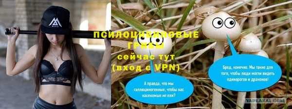 a pvp Алексин