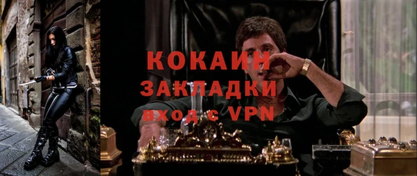 дживик Абинск