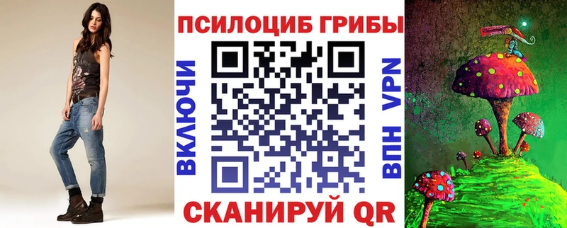 блэк спрут ТОР  Чкаловск  Галлюциногенные грибы MAGIC MUSHROOMS  купить наркоту 